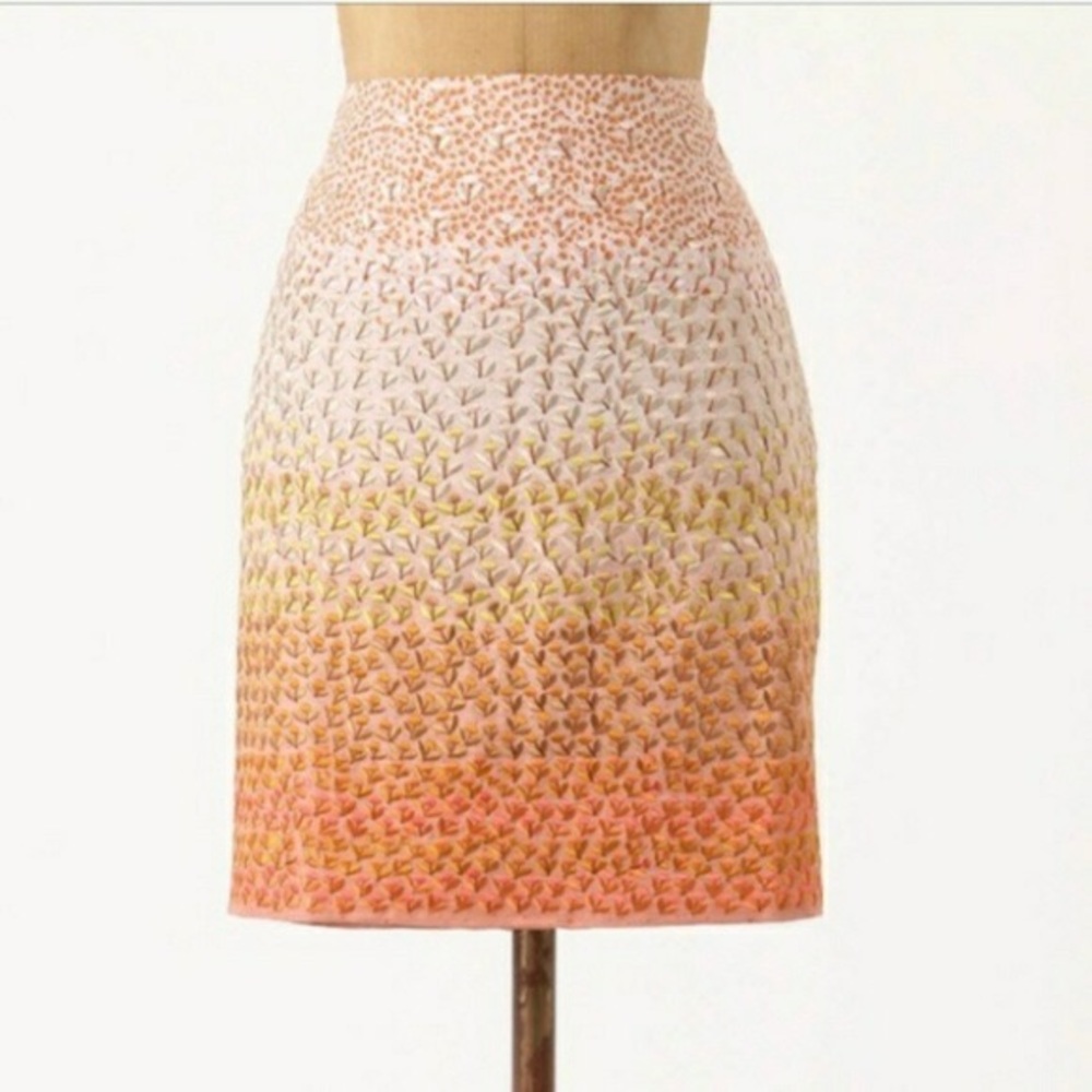 NWOT Anthropologie HD in Paris Embroidered Skirt
